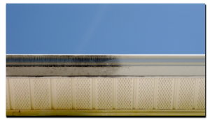 gutter cleaning orlando
