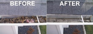 orlando gutter cleaning 